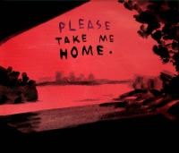 https://www.andreasleikauf.net:443/files/gimgs/th-22_please take me home.jpg